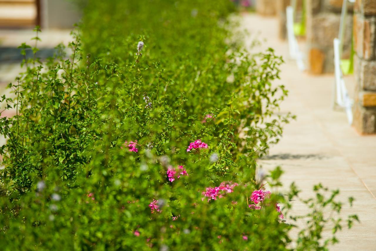 Olive Land Villas Лименария Екстериор снимка